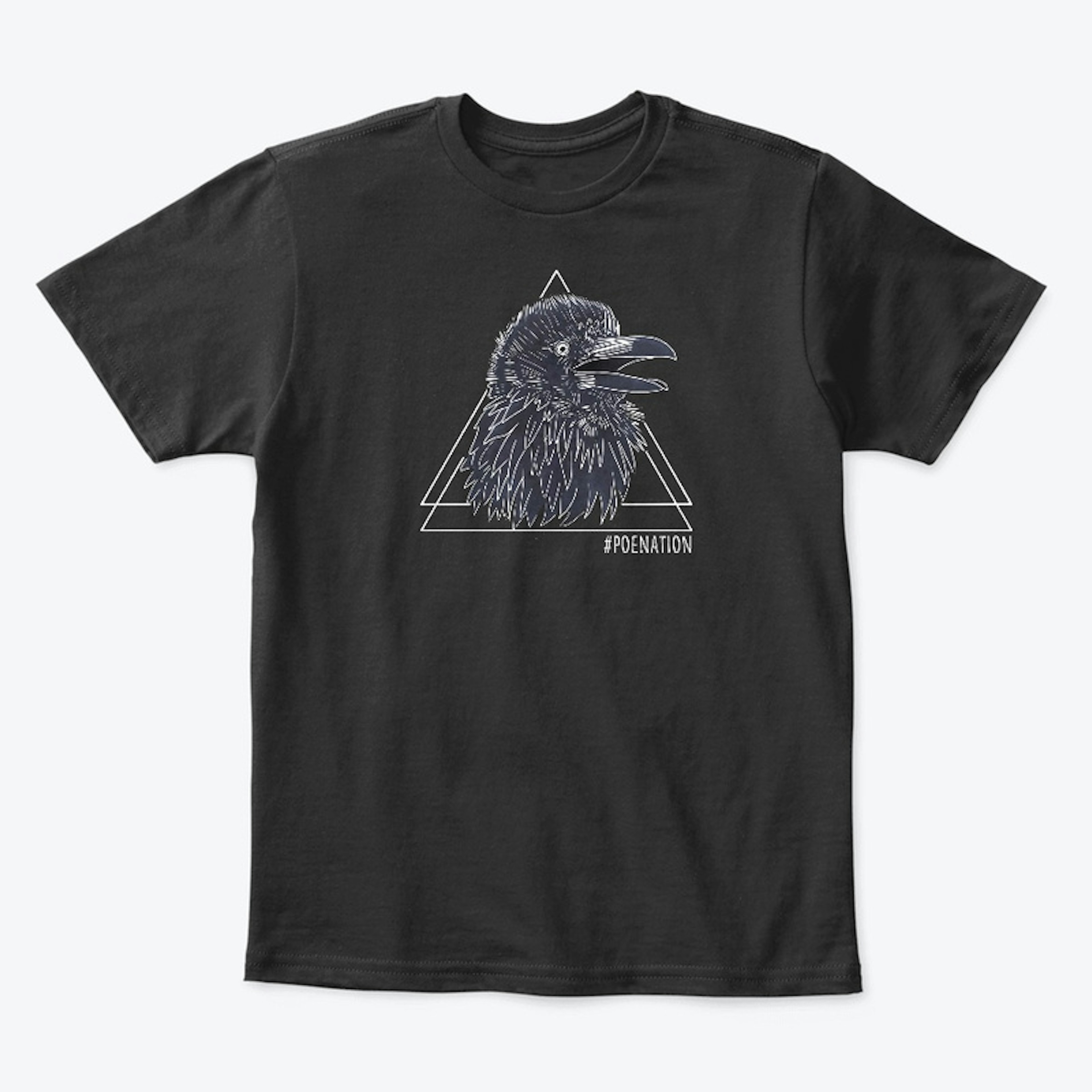 Poe The Raven
